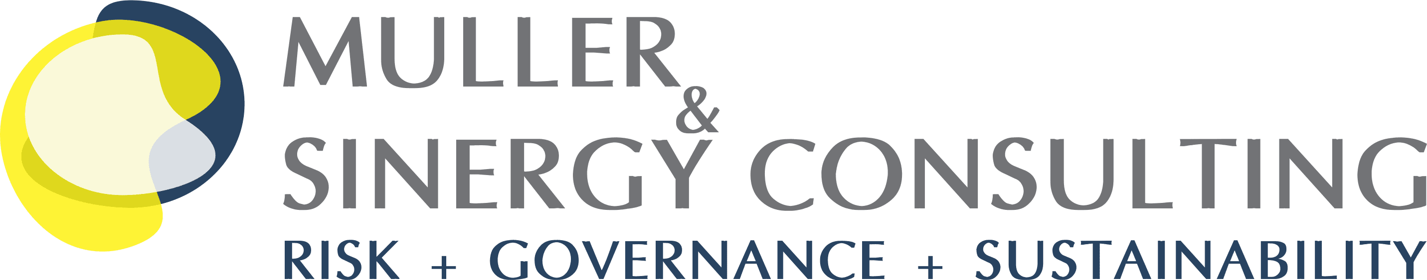 MULLER & SINERGY CONSULTING LOGO